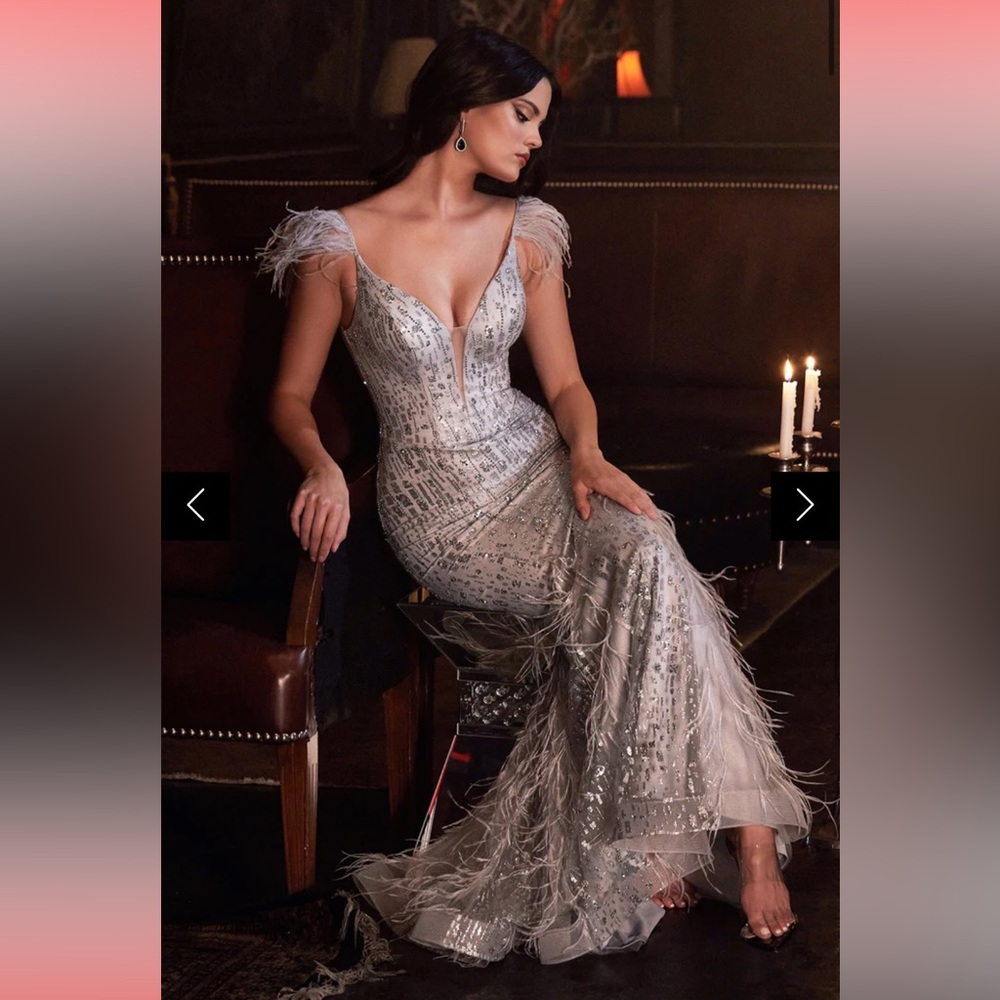 Silver Fitted Prom Dress, Wore only once, Selling for half original price.